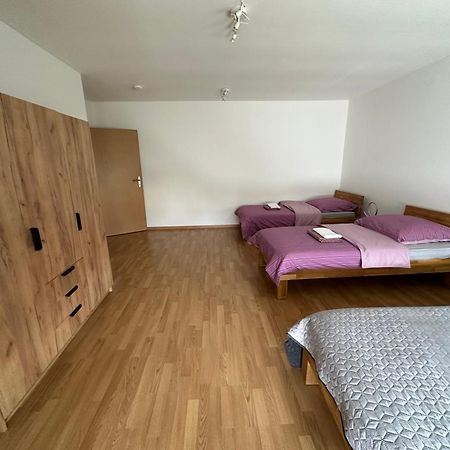 Grosses Apartment Im Dg Лайпциг Екстериор снимка
